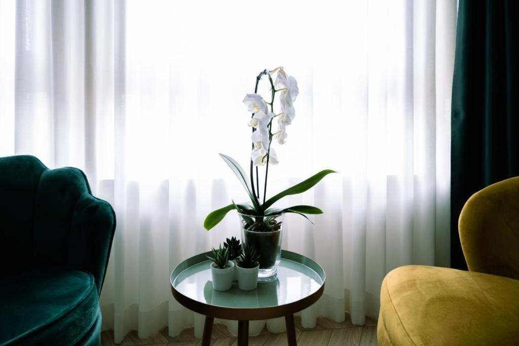 Salotto Room Boutique بيسكارا المظهر الخارجي الصورة